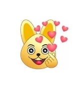 央视网视频下载器：最后的精彩