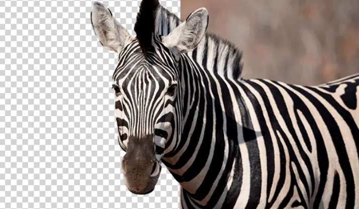 1745023895103273.png image.png