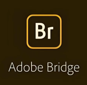 Adobe Bridge 2026 v16.0 正式发布 | 智能数字资产管理新时代，AI重塑创意资源工作流（附安装破解教程）
