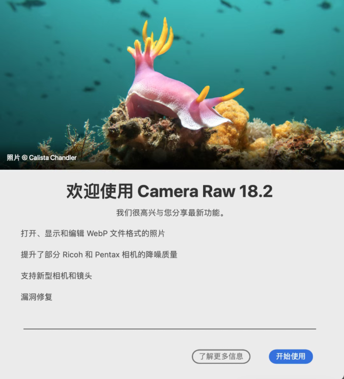 Camera Raw 18.2.2 发布:稳定修复版上线,WebP 原生支持
